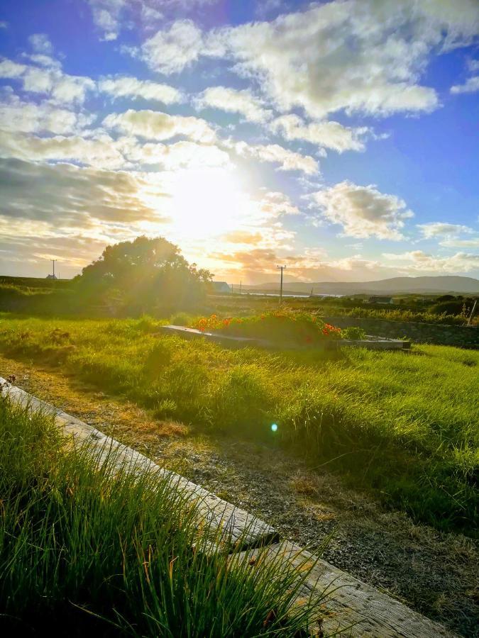 Bed and Breakfast Heir Island House Скибберин Экстерьер фото